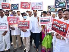 TDP On CM Jagan: జగన్ ఫైర్ కాదు ఫ్లవర్- టీడీపీ ఎమ్మెల్యే హాట్ కామెంట్స్