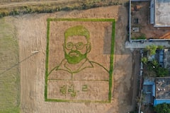 Sukumar Craze: అభిమానం 'పండితే' ఇంతే, వరి పైరుతో సుకుమార్ బొమ్మ, కడప కుర్రాడి క్రియేటివిటీ!