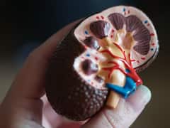 One Kidney Village: వన్ కిడ్నీ విలేజ్ - ఒకే ఒక్క మూత్ర పిండంతో బతికేస్తున్న గ్రామస్తులు, లోపం కాదు శాపం!