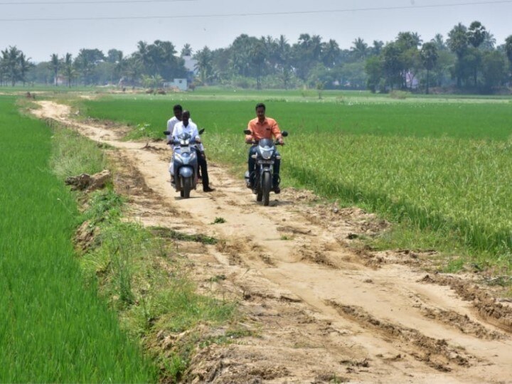 தூத்துக்குடி : வயக்காட்டுக்கு நடுவே சாலை அமைத்து கொண்ட ராஜபதி விவசாயிகள் வைக்கும் கோரிக்கை