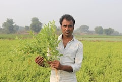 Agriculture News: ખેતી કરવા યુવાનો કેમ નથી આવી રહ્યા આગળ, જાણો મોદી સરકારના મંત્રીએ શું કહ્યું