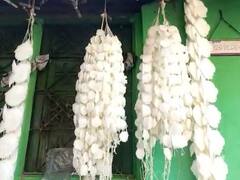 Bhandara Latest News : भंडाऱ्यात गाठी व्यवसायात महिला बचत गटांची एंट्री, लाखोची उलाढाल