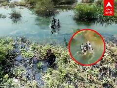 Tenkasi Rowdy Arrest: குளத்திற்குள் பதுங்கிய ரவுடி..டிரோன் மூலம் தட்டித்தூக்கிய போலீஸ்! பரபரப்பு காட்சிகள்