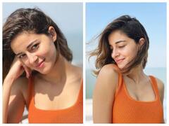 Ananya Panday: అనన్య స్టన్నింగ్ క్లిక్స్, ఫొటోలు చూస్తే ఫిదా అవ్వాల్సిందే 