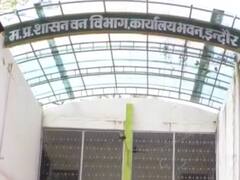 Holi 2022: इंदौर में वन विभाग द्वारा होली पर तैयार हुआ प्राकृतिक रंग, त्वचा भी नहीं होगी खराब