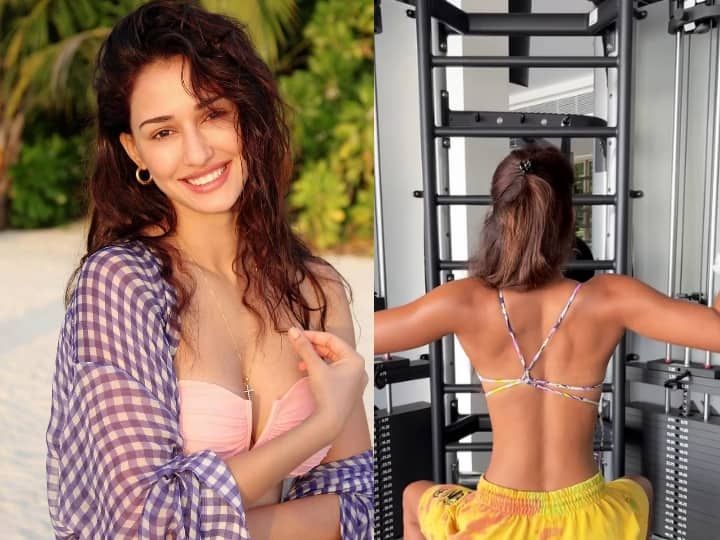 Bollywood Actress Disha patani gym workout video on instagram page Disha patani video : முதுகில் கட்டு கட்டாக கட்ஸ்: ஜிம்மில் வெறிக்கொண்ட வேங்கையாக மாறிய தோனி பட நடிகை!