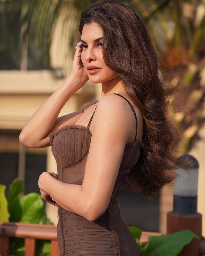 జాక్వెలిన్ ఫెర్నాండెస్ ఫోటోలు -Image credit: Jacqueline Fernandez/Instagram