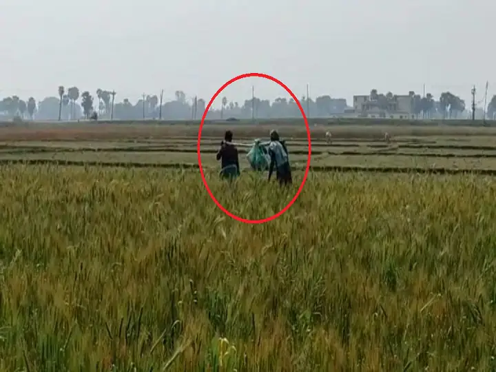 ਸ਼ਰਮਨਾਕ: ਟਾਇਲਟ ਟੈਂਕੀ 'ਚੋਂ ਮਿਲੀ ਲਾਸ਼ ਤਾਂ ਨਿਯਮਾਂ ਨੂੰ ਭੁੱਲੇ 'ਸਾਹਿਬ', ਪਿੰਡ ਵਾਲਿਆਂ ਨੇ ਬਾਂਸ ਨਾਲ ਲਾਸ਼ ਨੂੰ ਟੰਗ ਕੇ ਲਿਆਉਣ ਲਈ ਕਿਹਾ