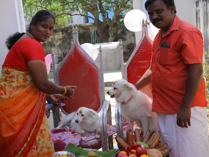 சேலம் : செல்லப்பிராணிக்கு வளைகாப்பு நடத்திய புகைப்படக் கலைஞர்.. வைரலான வளையல் திருவிழா