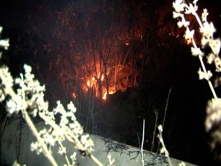 काही दिवसांपूर्वी माथेरानच्या डोंगरावर वणवा पेटला होता. डोंगरमाथ्यावरच्या माथेरानपासून काही अंतरावर असलेल्या जुम्मापट्टी परिसरात अचानक वणवा लागला.