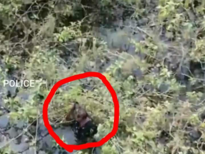 Watch | History-Sheeter Who Went Into Hiding In A Marshy Land Arrested By TN Police With Help Of Drones WATCH | History-Sheeter Who Went Into Hiding Arrested By TN Police With Help Of Drones