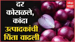 Onion prices Fall Down : दर कोसळले, कांदा उत्पादकांची चिंता वाढली ABP Majha
