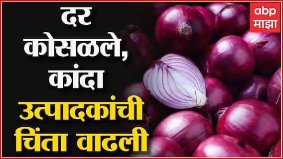 Onion prices Fall Down : दर कोसळले, कांदा उत्पादकांची चिंता वाढली ABP Majha