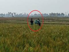 शर्मनाक: शौचालय टंकी से बरामद हुई लाश तो नियमों को भूले 'साहब', ग्रामीणों को बांस में टांगकर लाने को कहा शव