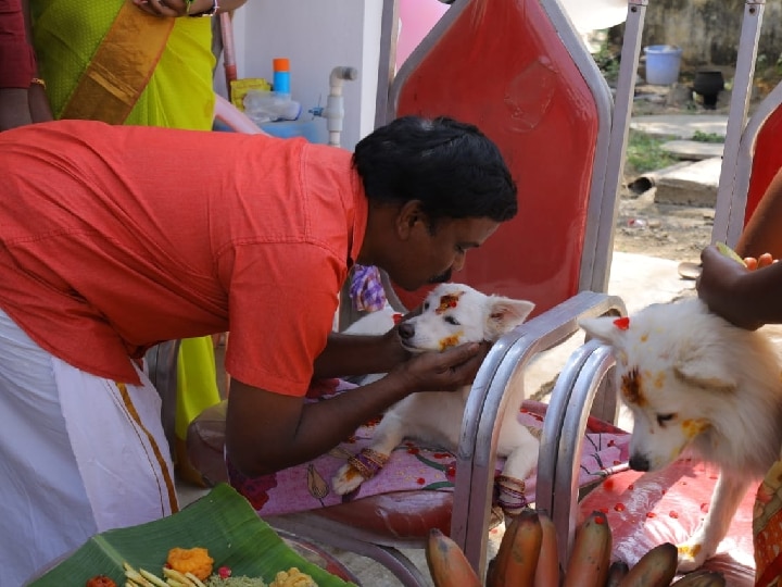 சேலம் : செல்லப்பிராணிக்கு வளைகாப்பு நடத்திய புகைப்படக் கலைஞர்.. வைரலான வளையல் திருவிழா