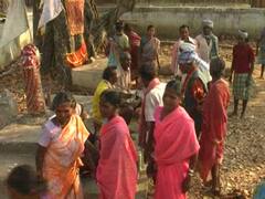 Holi 2022: बस्तर में सैकड़ों साल पुरानी है इस रंग से होली खेलने की परंपरा, देवी-देवता भी होते हैं शामिल