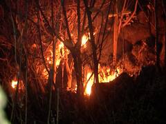 PHOTO : वणवा पेटला! नवी मुंबईत डोंगरावर आग, वनसंपदा आगीच्या भक्ष्यस्थानी