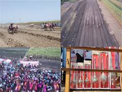 PHOTO : सांगलीतील वाळवामध्ये रंगला बैलगाडा शर्यतीचा थरार!