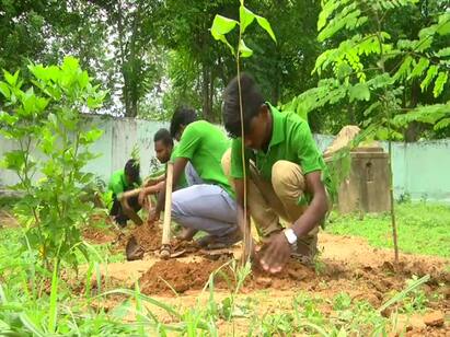 thiruvarur district 1 laks tree planting in youngsters மரங்கள் இன்றி பாலைவனமாக இருந்த டெல்டாவை சோலைவனமாக மாற்றிய இளைஞர்கள்! குவியும் பாராட்டு