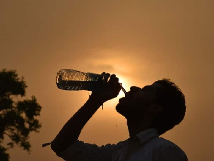 Severe Heat Wave conditions at isolated pockets also very likely over West Rajasthan during next 24 hours Severe Heat To Prevail For Next 48 Hrs In Rajasthan, West MP, Telangana: IMD