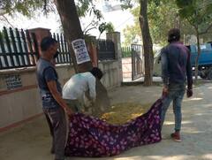 Greater Noida: गंदगी मिलने पर लगेगा 10 लाख का जुर्माना, जानिए- होली के लिए ग्रेनो प्राधिकरण की सफाई का प्लान