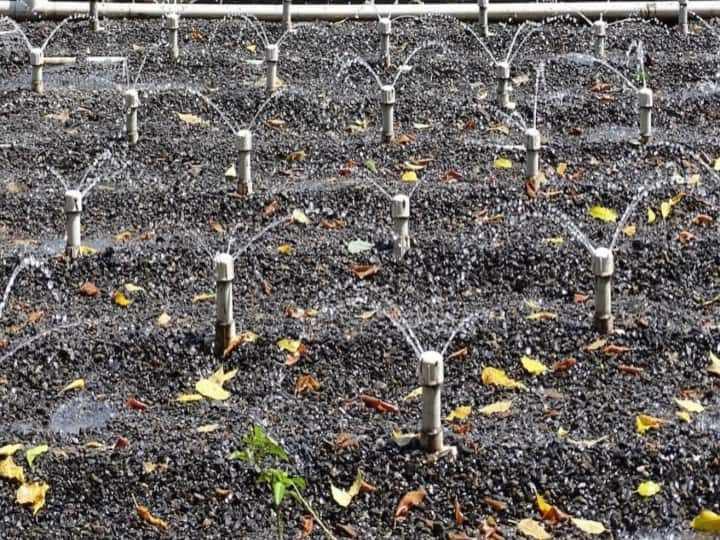 Know, what is STP plant NDMC is irrigating parks with this technique ANN Delhi: जानिए- एनडीएमसी कैसे करती है सीवेज के पानी का फिर से इस्तेमाल, क्या हैं इसके फायदे?