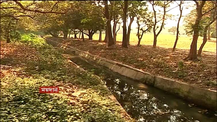 Body hanging from a tree next to Mohun Bagan Club, commotion in the area, police investigating Kolkata: মোহনবাগান ক্লাবের পাশে গাছে ঝুলে দেহ, এলাকায় চাঞ্চল্য, তদন্তে পুলিশ