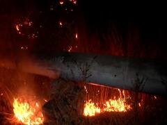 PHOTO : वणवा पेटला! नवी मुंबईत डोंगरावर आग, वनसंपदा आगीच्या भक्ष्यस्थानी