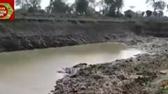 Hoogly: চণ্ডীতলায় প্রকাশ্যে মাটি 'পাচার', আটকাতে গেলে পুলিশের ওপর হামলা, গ্রেফতার অভিযুক্ত।Bangla News