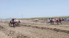 PHOTO : सांगलीतील वाळवामध्ये रंगला बैलगाडा शर्यतीचा थरार!