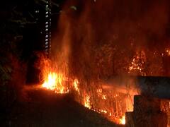 PHOTO : वणवा पेटला! नवी मुंबईत डोंगरावर आग, वनसंपदा आगीच्या भक्ष्यस्थानी