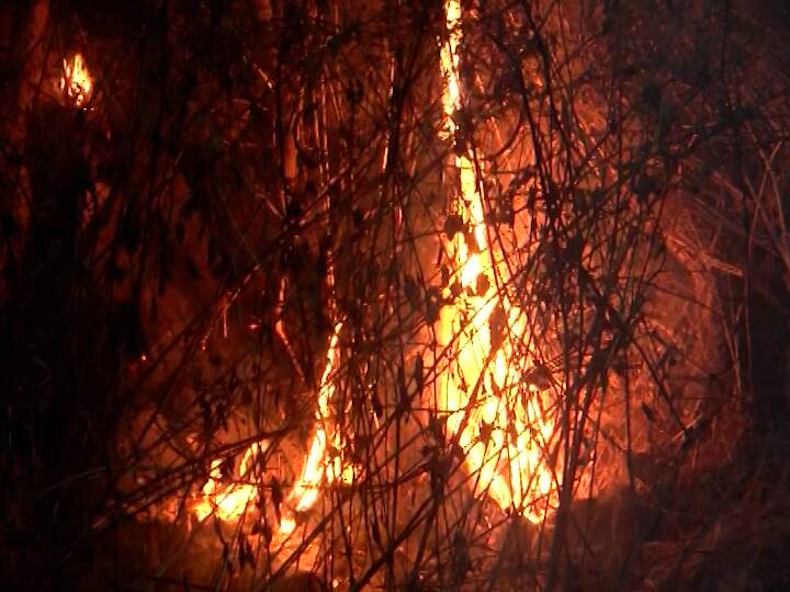 खारघरच्या डोंगरावर सायंकाळी 7.30च्या दरम्यान लागलेली ही आग आता नियंत्रणात आलेली आहे.