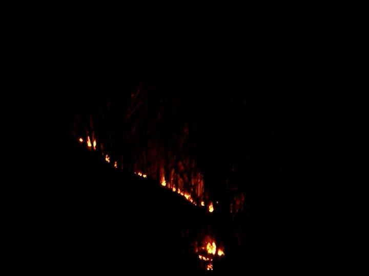 हा वणवा कशामुळं लागला यासंदर्भात अद्याप कोणतीही माहिती मिळू शकली नाही.