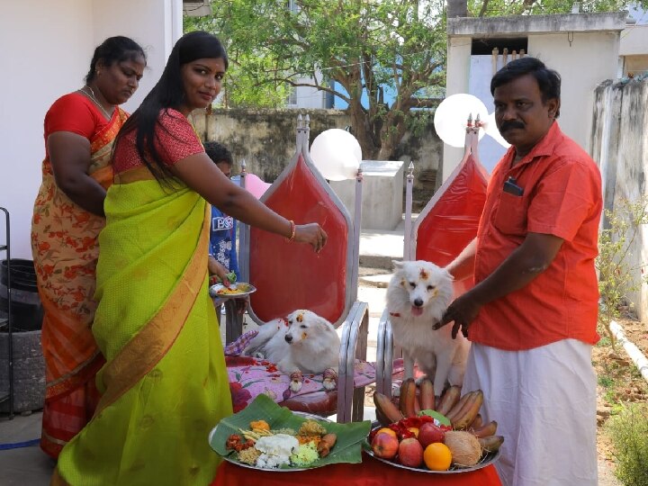 சேலம் : செல்லப்பிராணிக்கு வளைகாப்பு நடத்திய புகைப்படக் கலைஞர்.. வைரலான வளையல் திருவிழா