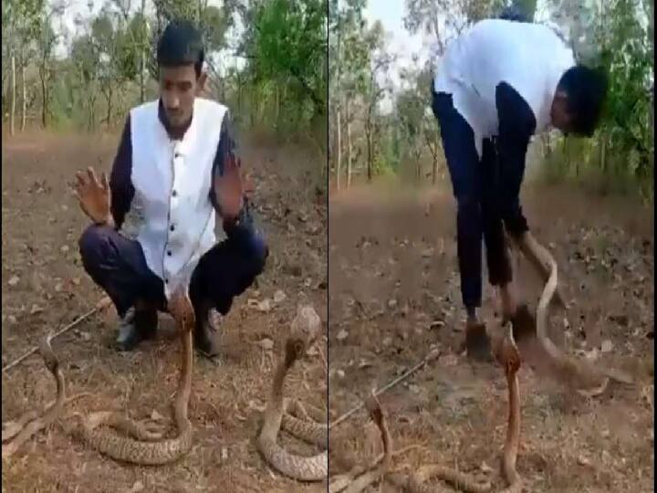 Karnataka: video of snake biting a man playing with it goes viral in social media Watch Video: மல்லாக்க படுத்து காலை ஆட்டுறது.. பாம்புடன் விளையாட்டா பாஸ்? வைரலான வீடியோ !