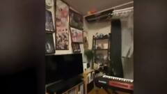 Tsunami alert post Japan Earthquake; visuals of tremors will scare you | ABP News