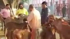BJP's Holi becomes more colourful and cheerful; here's why | ABP News