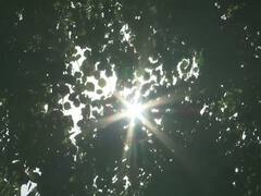 Maharashtra Weather Forecast: महाराष्ट्र में गर्मी से मिलेगी राहत, कई क्षेत्रों में छाए बादल