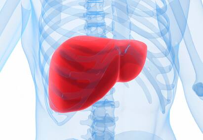 Mysterious liver illness seen in kids in US, Europe Liver : குழந்தைகளுக்கு கல்லீரல் நோய் தொற்று.. என்ன செய்யவேண்டும்? உலக சுகாதார மையம் எச்சரிப்பது என்ன?