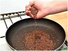 Health Tips : अळशीच्या बियांचे 'हे' आरोग्यदायी फायदे तुम्हाला माहित आहेत का ?