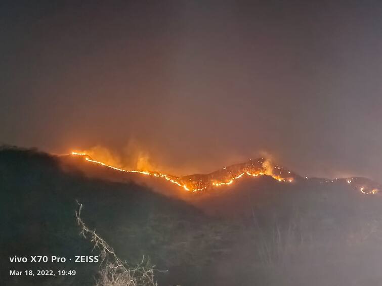 Amreli: Fire breaks out in Lapala Dungar area of Khamba, fire threatens to reach Mitiyala Sanctuary અમરેલી: ખાંભાના લાપાળા ડુંગર વિસ્તારમાં આગ લાગી, મિતિયાળા અભ્યારણ સુધી આગ પહોંચવાનો ખતરો