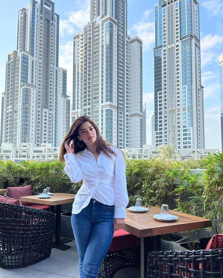 మెహ్రీన్ పిర్జాదా ఫోటోలు - Image credit: Mehreen Pirzada/Instagram