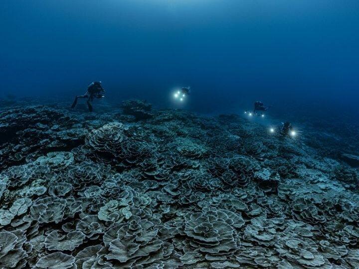 Scientists will find out secrets of the origin of life by going deep into the ocean कैसे हुई थी जीवन की शुरुआत? समुद्र की गहराई में जाकर जवाब तलाशेंगे भारतीय साइंटिस्ट