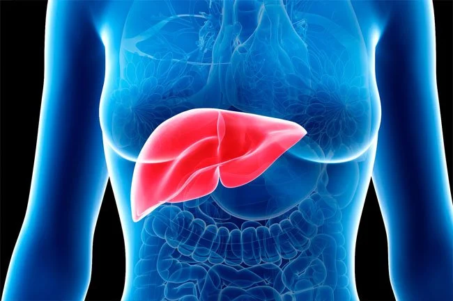 Fatty Liver : கல்லீரல் கொழுப்பு உங்களுக்கு இருக்கும்னு சந்தேகமா? இதெல்லாம் அறிகுறிகள்..