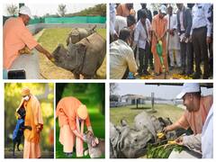 UP News: कार्यवाहक सीएम योगी आदित्यनाथ ने चिड़ियाघर में गैंडों की जोड़ी को कुछ यूं किया प्यार, देखें तस्वीरें