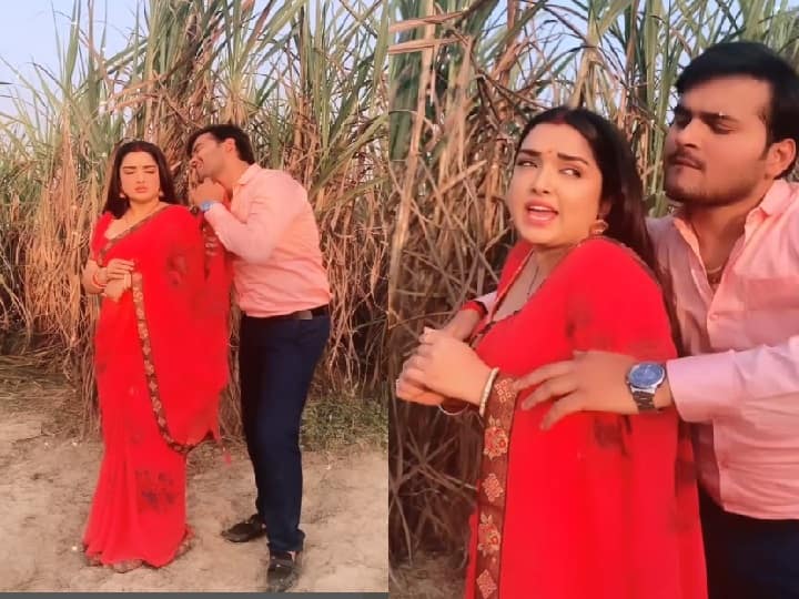 होली पर भोजपुरी स्टार अरविंद अकेला कल्लू संग आम्रपाली दुबे ने किया कमरतोड़ डांस, बार-बार देखा जा रहा है वीडियो Bhojpuri Actress Amrapali Dubey Arvind Akela Kallu Dance video break the internet, Watch here होली पर भोजपुरी स्टार अरविंद अकेला कल्लू संग आम्रपाली दुबे ने किया कमरतोड़ डांस, बार-बार देखा जा रहा है वीडियो