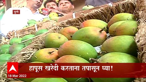 Hapus Mango : हापूस आंबा तपासून घ्या, पुण्यात बनावट हापूसच्या 42 पेट्या जप्त