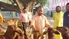 BJP की Holi रही बेहद खास, भगवा रंग में रंग गयी यूपी की राजधानी | UP Politics