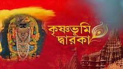 Dol Purnima 2022: রঙের উৎসবে দ্বারকার নানান জানা-অজানা কথা, দেখুন 'কৃষ্ণভূমি দ্বারকা' | Bangla News