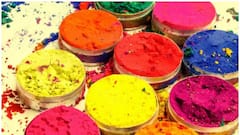 Dol Purnima 2022: সন্তোষপুর ত্রিকোণ পার্কে জমিয়ে দোল খেললেন সকলে | Bangla News